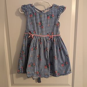 Max Girls Blue Gingham Kids Dress with Floral Accents